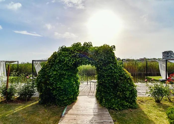 Pensiunea Alfa Guest house