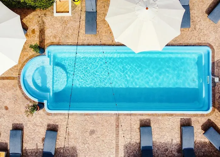 Pensiunea Alfa Guest house Navodari