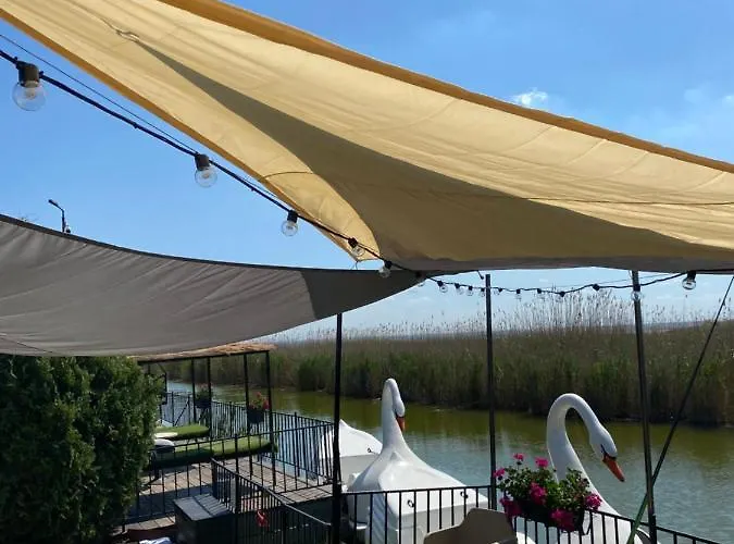 Guest house Pensiunea Alfa