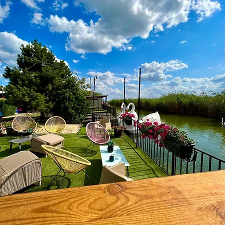 Pensiunea Alfa Maison d'hôtes